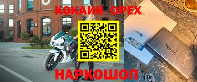 гашик Донской