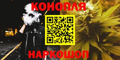 гашик Донской