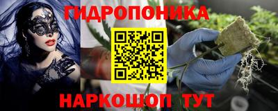 СК Гусь-Хрустальный