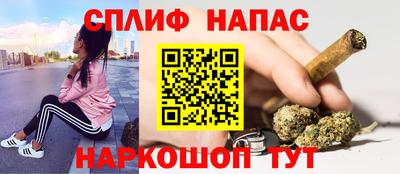 гашик Донской