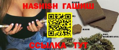 гашик Донской