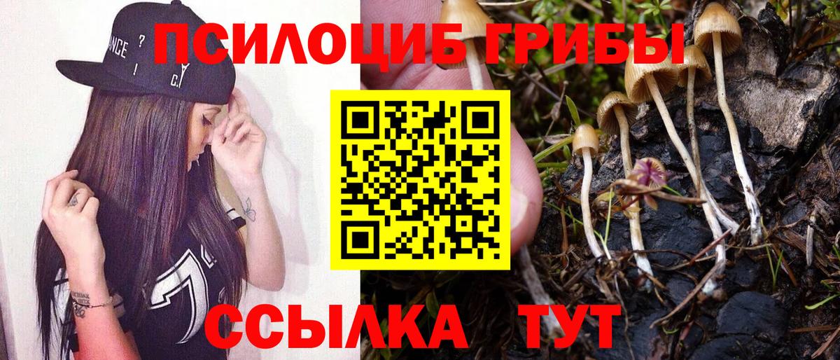 Галлюциногенные грибы GOLDEN TEACHER  Галлюциногенные грибы Magic Shrooms  сколько стоит  Карпинск  Вход с VPN 