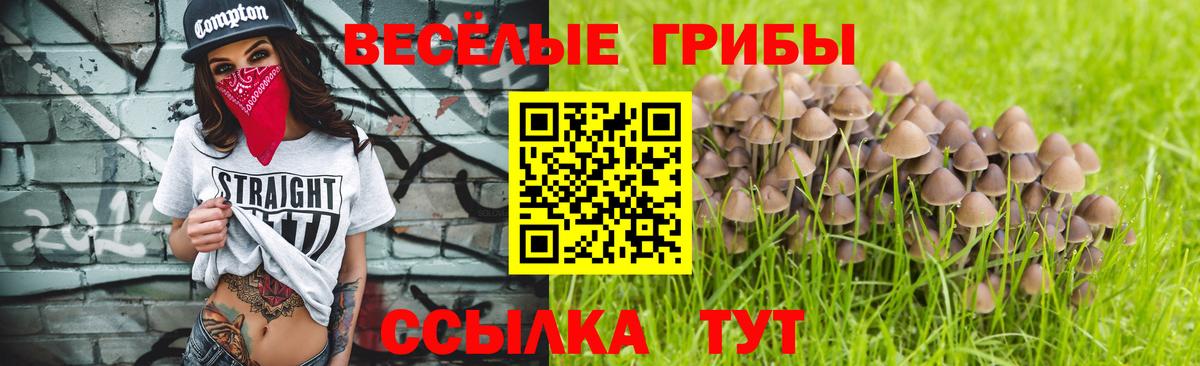 Псилоцибиновые грибы MAGIC MUSHROOMS Карпинск